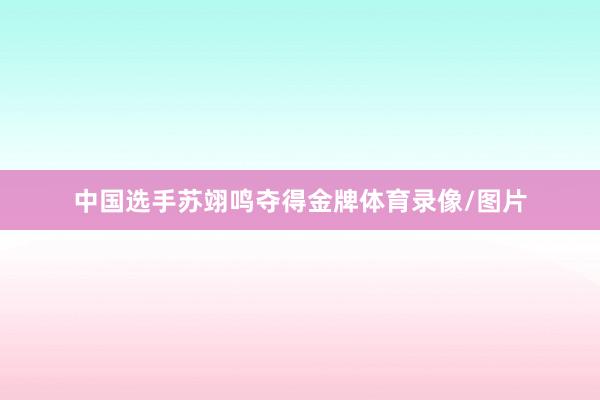 中国选手苏翊鸣夺得金牌体育录像/图片