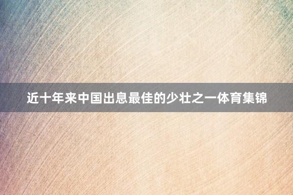 近十年来中国出息最佳的少壮之一体育集锦